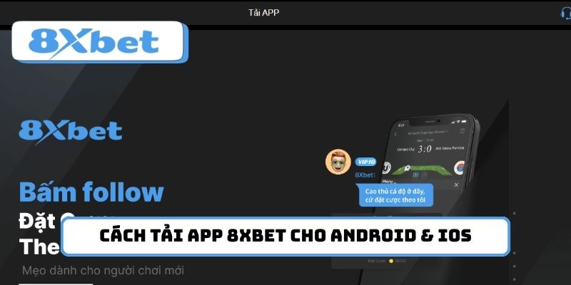 8xbet
