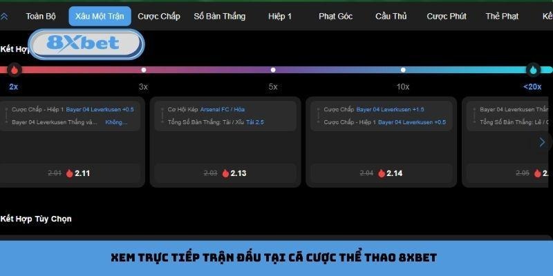 Xem trực tiếp trận đấu tại cá cược thể thao 8xbet