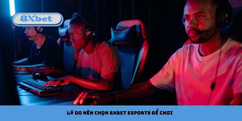 Lý do nên chọn 8xbet Esports để chơi