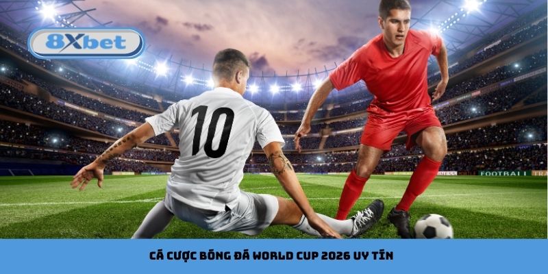 Cách chọn trang cá cược Bóng Đá World Cup 2026 uy tín