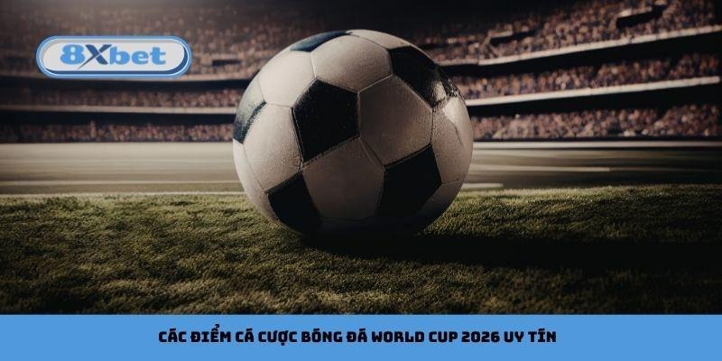 Các điểm của nền tảng cá cược bóng đá World Cup 2026 uy tín