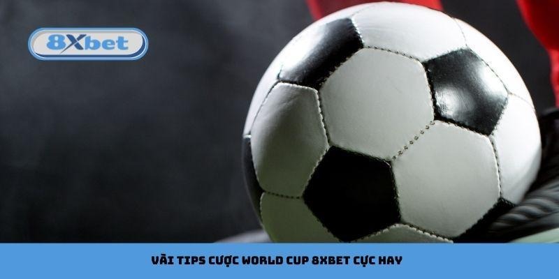 Vài tips cược World Cup 8xbet cực hay