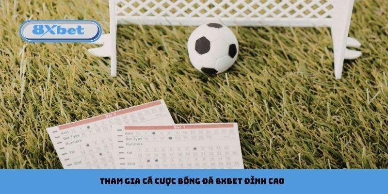 Tham gia cá cược bóng đá 8xbet đỉnh cao
