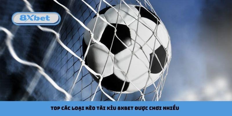 Top các loại kèo tài xỉu 8xbet được chơi nhiều hiện nay