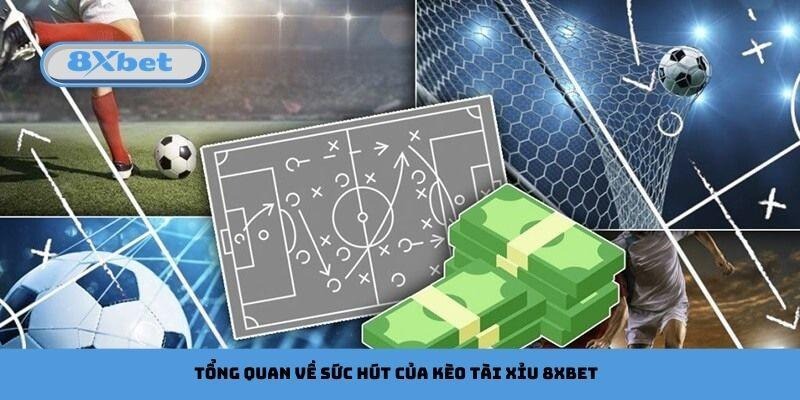 Tổng quan về sức hút của kèo tài xỉu 8xbet