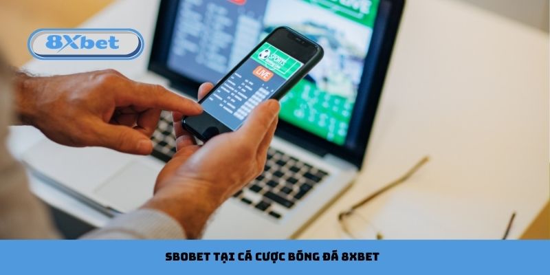 SBOBET tại cá cược bóng đá 8xbet