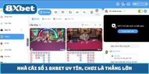 Nhà Cái Số 1 8XBET Uy Tín, Chơi Là Thắng Lớn